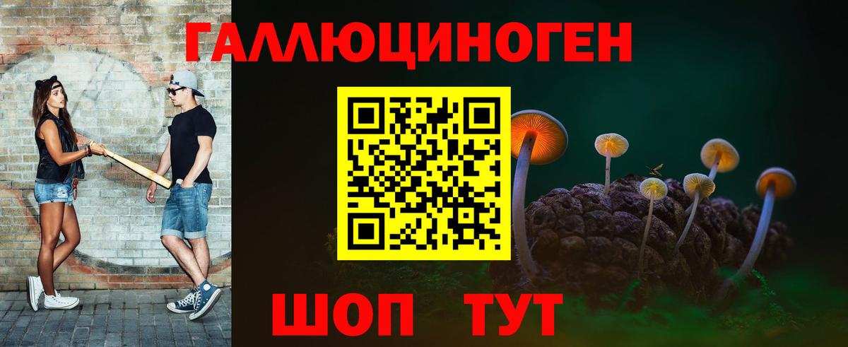 Галлюциногенные грибы Cubensis Киров
