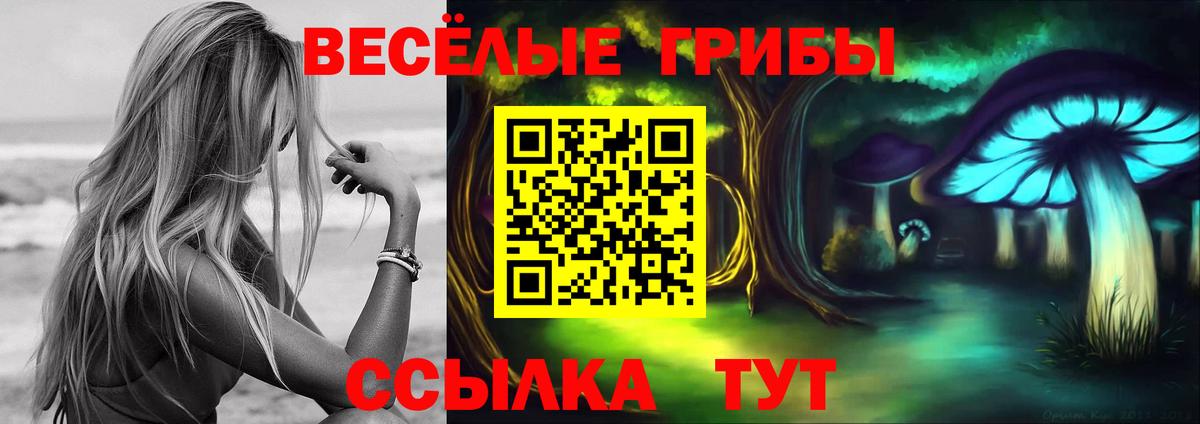 Киров  Галлюциногенные грибы Psilocybe  Вход с VPN 